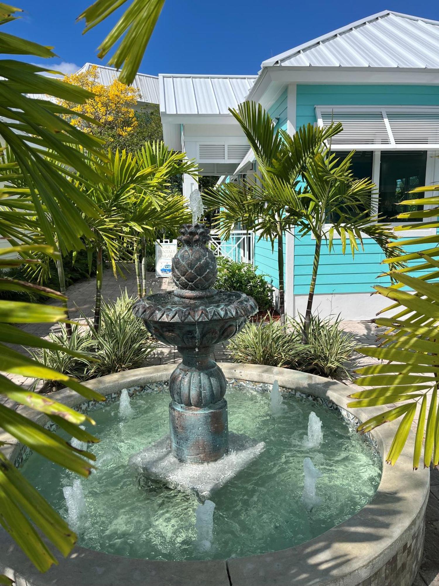Dolphin Cove (Adults Only) Freeport Exterior foto